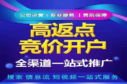 某行业SEM竞价代运营全流程解析及效果展示